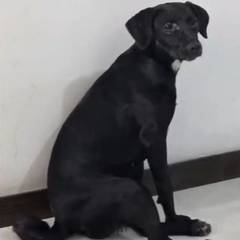 Foto de Luna
