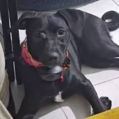 Foto de Luna