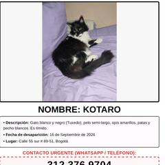 Foto de Kotaro